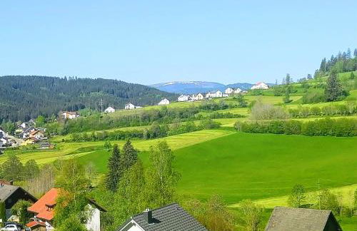 Romantic Style Apartment Titisee-Neustadt - Foto 49