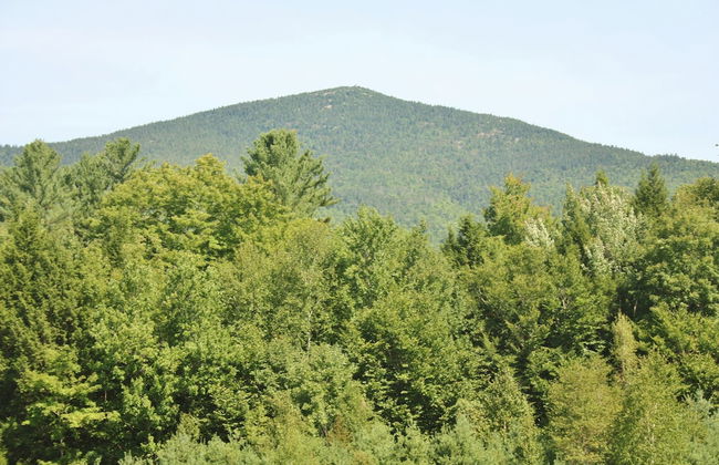 Mountain View Resort - Foto 29