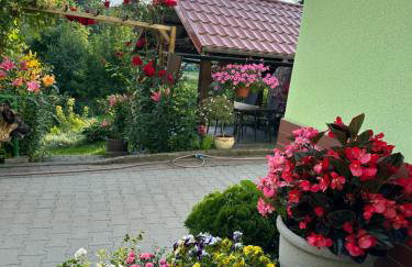 Mr. Sowa Sokolec - Foto 45