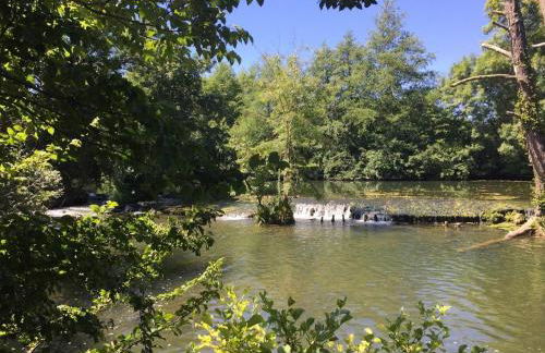 Détente assurée au moulin de papalis - Foto 3
