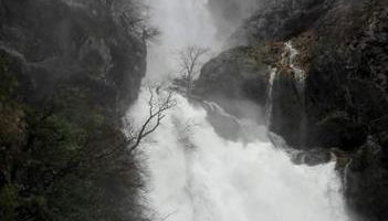 Patio de las Flores - Foto 5