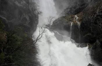 Patio de las Flores - Foto 5