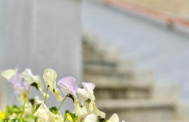 Agriturismo La Vecchia Chioderia - Foto 30