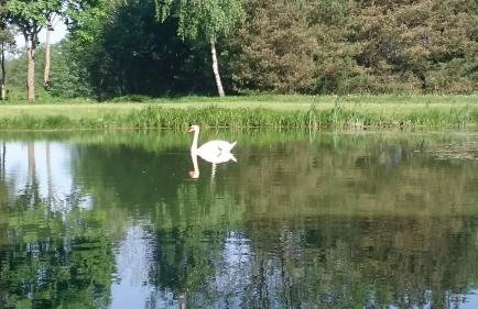 Dworek Szarki - Foto 5