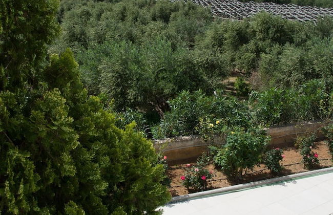 Family Holidays House Koutsouras by GHH - Foto 20