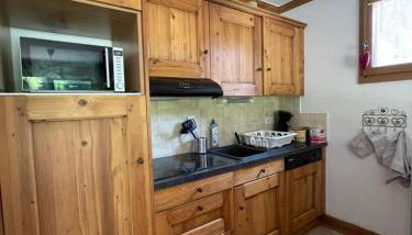 T2 vue sur le parc de la vanoise - Foto 3