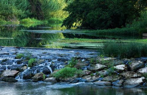 3 pièces rénové climatisé Mandelieu - Foto 4