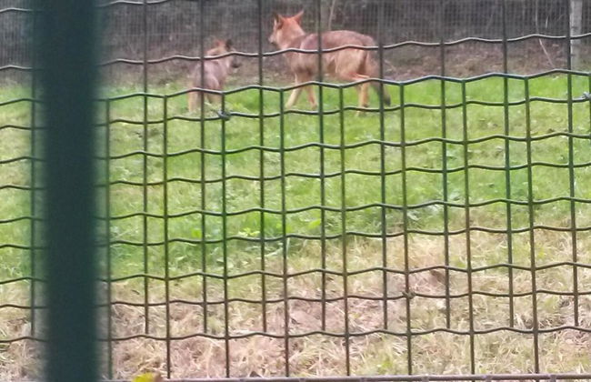 Gran Hotel Rural Cela - Foto 33