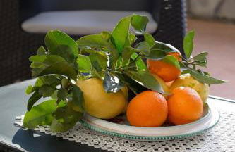 Il Pozzo dei Desideri - De Vivo Realty Vico Equense - Foto 18