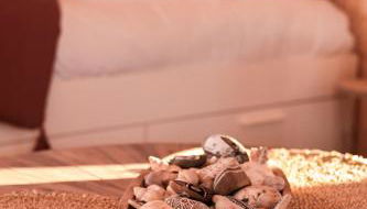 Le coquillage, la clef des paons - Photo 3