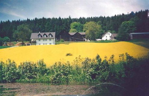 Ferienhof Lang - Foto 40