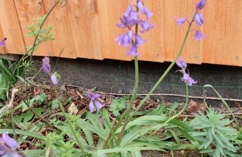 Happy Day 温馨小居-Walk to Warwick Uni & Cannon Park in Coventry that offers free parking - Foto 47