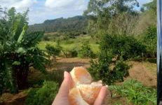 Sítio em meio a natureza, perfeito para relaxar - Foto 17