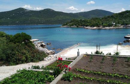 Apartments by the sea Kabli, Peljesac - 11695 - Foto 7
