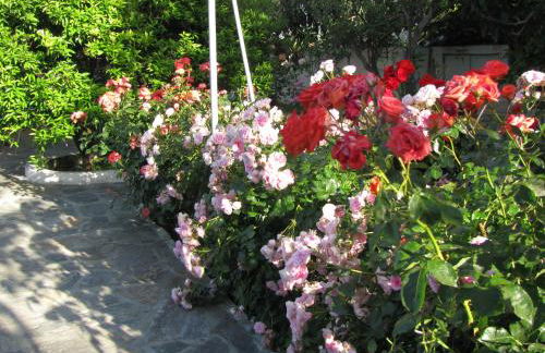 Anna Studios - Foto 40