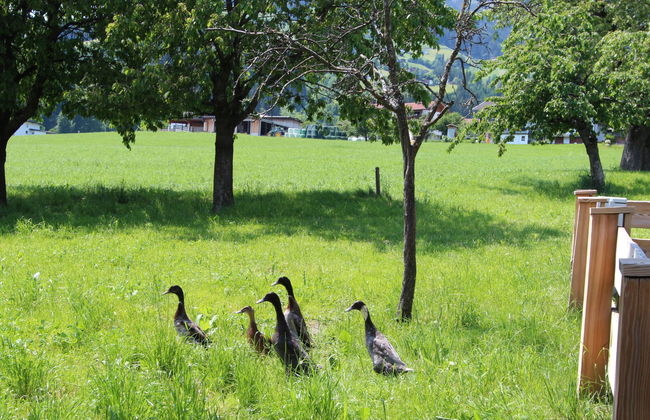 Gasteighof - Foto 17