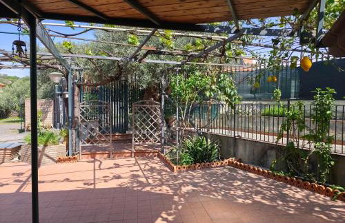 Cottage in the green - Photo 71