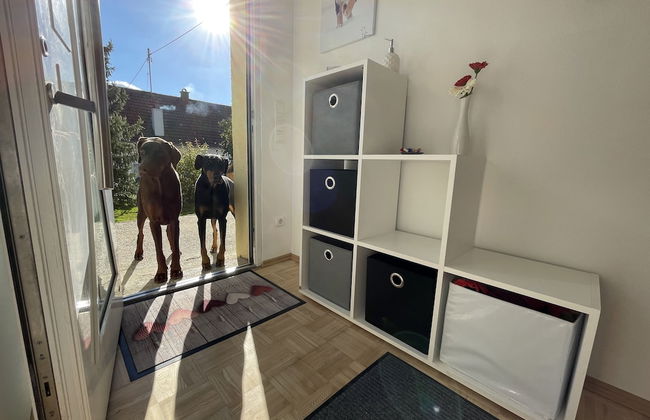 Ferienwohnung Toja - Foto 5