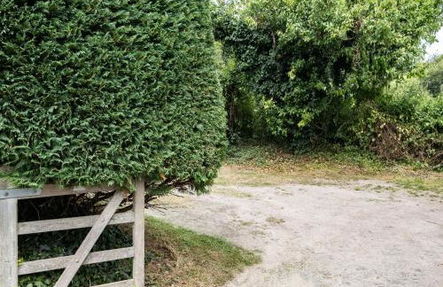 Porthilly Greys - Foto 52