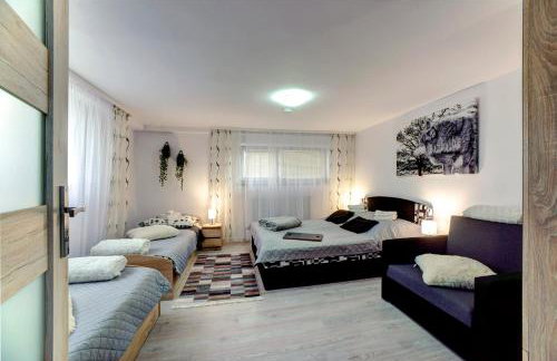 Apartamenty Bieszczady - Foto 19