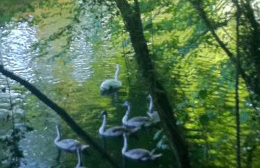 Ivythorpe Coach House - Foto 15