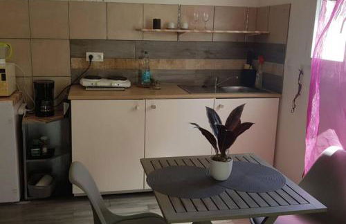 Gîte du stade Le Studio cour parking et piscine partagee - Foto 4