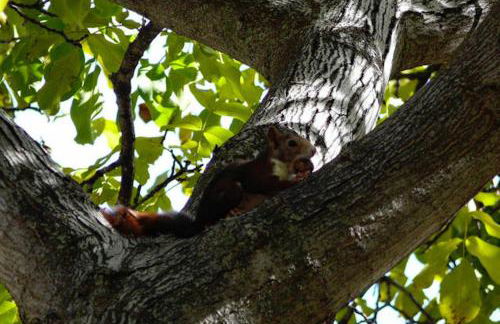 Casas Rurales Telecabina Las Catifas - Photo 9