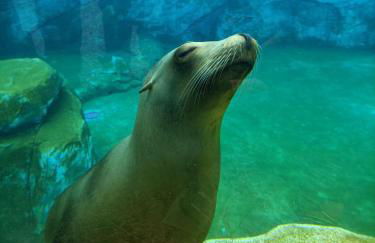 Gîte climatisé VILLA ESPERANZA à Valençay 2 à 5 p proche zoo de Beauval et châteaux Pour touristes et travailleurs - Foto 23