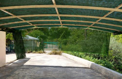 Fox's Sunshine - Foto 40