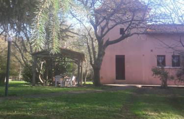 Tour des hirondelles - Foto 3