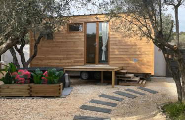 La Tiny House des Oliviers et son jacuzzi - Foto 5