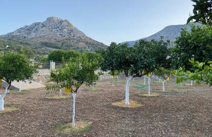 A wooden house in Kardamyla - Foto 65