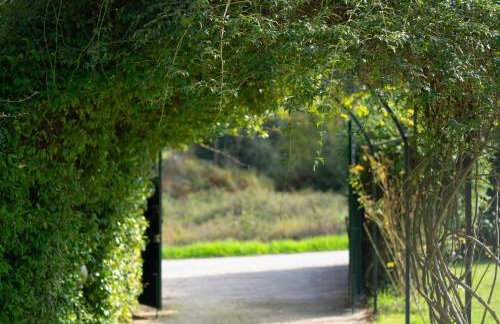 Livadi Villa - Foto 24