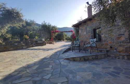 Elaion Thea2-Nies - Foto 15