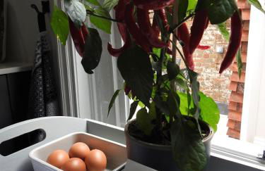 Purlins Holiday Apartment - Foto 11