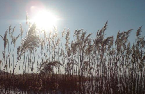 Ferienhaus Karola - Foto 35