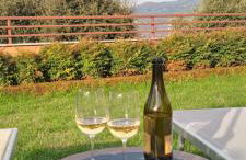 Mirasole Holiday House - Foto 21