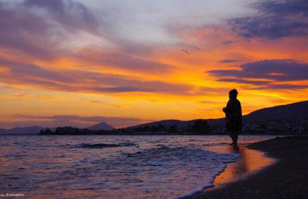 Garden house - Photo 64