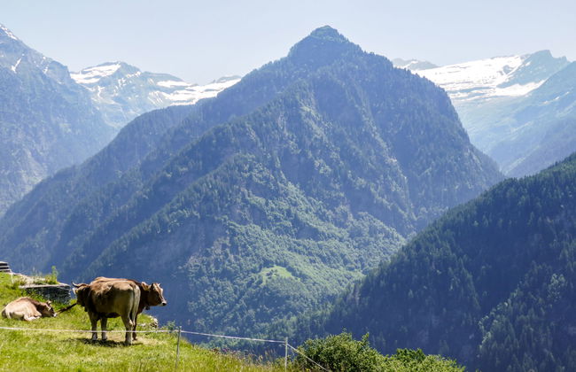 Rustico Pamela - Foto 19