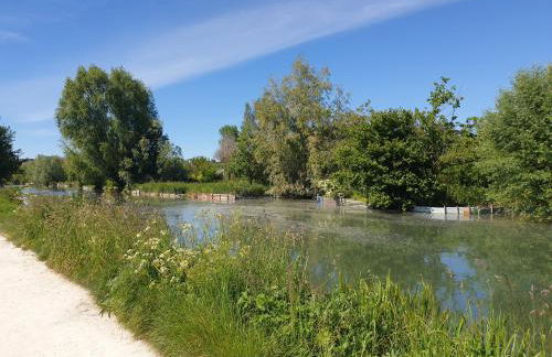 Studio Cerf, quartier marais, terrasse rez de chaussé, jardin accessible, matelas confortable - Foto 6