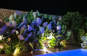 Casa bangalô conexão com a natureza e bem estar - Foto 3