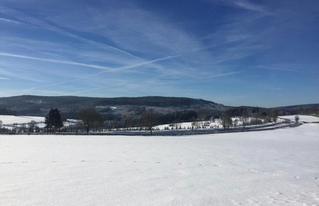 Apartment in Halenfeld-amel With Terrace - Foto 36