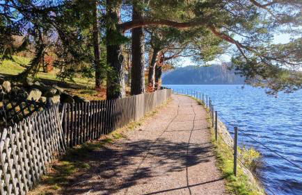 Ferienwohnung "Il Paradiso" in Schluchsee mit Dachterrasse und Seeblick - Foto 3