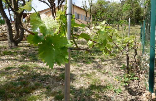 Gîtes de l'Esquirou - Photo 36