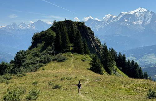 Le lodge de l alpage - Ski in ski out - 2 chambres 1 cabine - Foto 30