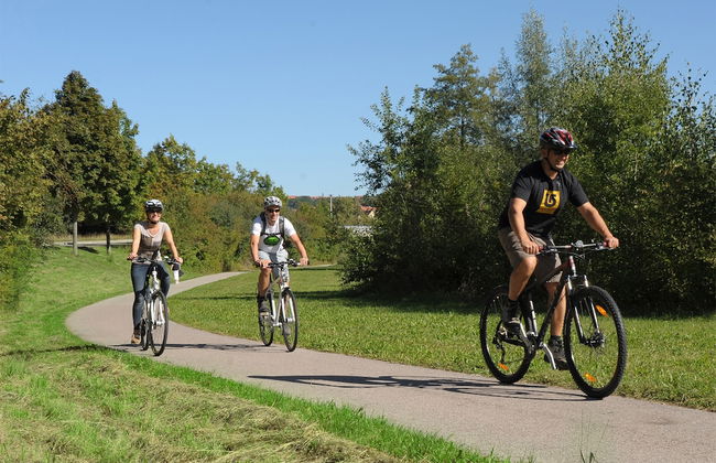 Aparthotel Donaustern - Foto 22