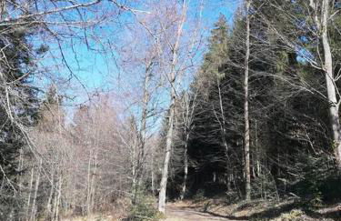 Torwärterhaus mit Geschichte - Foto 28