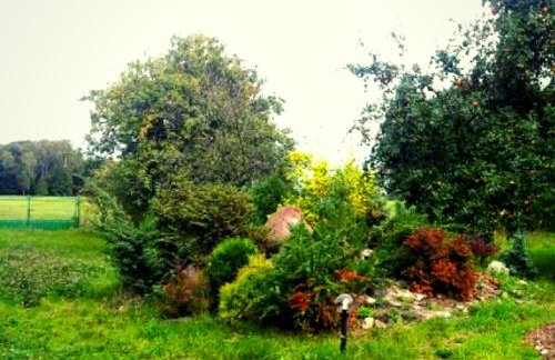 Apartamenty Górki Małe - Foto 65