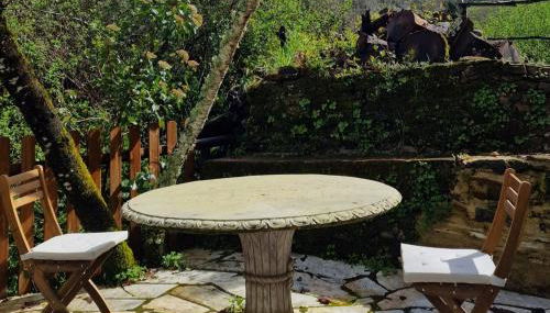 Huerto Fernandito - Foto 5