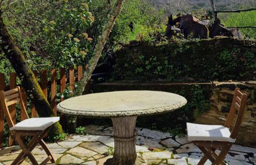 Huerto Fernandito - Foto 5